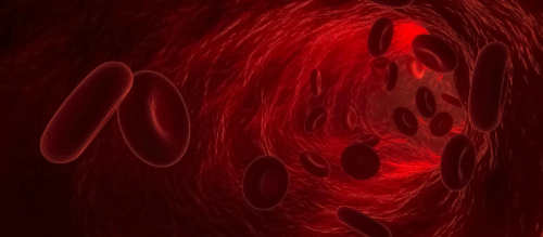 Conférence nationale